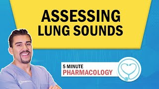 Lung Auscultation Locations Assessment Patho for Nursing students  NCLEX [upl. by Othelia]