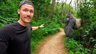 5 Hours with Wild Mountain Gorillas Worlds Best Wildlife Encounter [upl. by Treborsemaj]