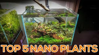 TOP 5 NANO AQUARIUM PLANTS [upl. by Asirehc]