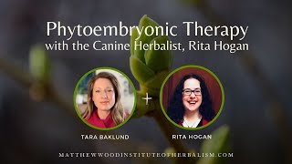 What is Phytoembyronic Therapy [upl. by Hnilym]