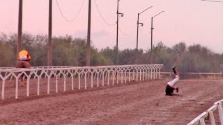 Carreras en el Hipodromo Los Mezquites 19 de Febrero 2023 [upl. by Thill]