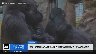 Baby Jameela connects with foster mom in Cleveland [upl. by Engelbert]