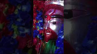 🌺🌺Raj Rajeshwari Jagat Janani Maa Tara Darshan 🌺 🌿 [upl. by Ced]