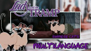 Lady and The Tramp  Siamese Cats One line Multilanguage [upl. by O'Toole]