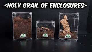 These are THE BEST Acrylic Enclosures for TARANTULAS and other critters  Built by Tarantula Cribs [upl. by Lune]