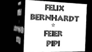 Felix Bernhardt  Feier Pipi original mix [upl. by Nosnirb]