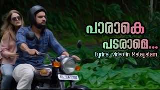 Paaraake padarame lyrical video song  🎥Kilometers and Kilometers🎥  Malayalam melody songs [upl. by Amle253]