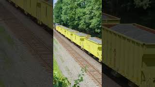 NS Manifest Goes Under Old Bridge Amtrak Ballast Cars Reading ampNorthern Coal Cars 7212924 [upl. by Oribel]