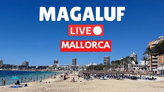 🔴LIVE in Magaluf Mallorca Majorca  22 June 2024 [upl. by Hakaber445]