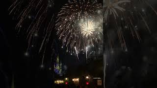 Happily Ever After Fireworks at Magic Kingdom [upl. by Trotter]