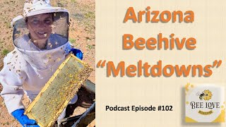 Beekeeping In The Southern Arizona Heat amp Honey Bee Rehab [upl. by Eppesuig328]