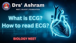 What is ECG How to read ECG Biology NEET [upl. by Monahan]