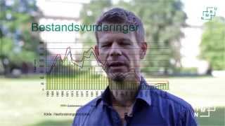 Statistikkurs ved NMBU  MOOC promovideo [upl. by Eirotal]