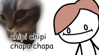 chipi chipi chapa chapa [upl. by Cenac]