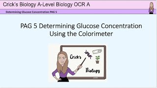 Determining glucose concentration using a colorimeter PAG5 Alevel biology practicals cricksbiology [upl. by Marden]