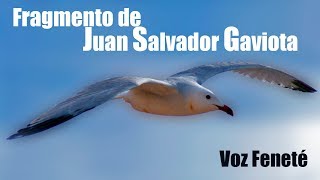 ¿Eres original o uno mas Juan Salvador Gaviota Fragmento Richard Bach by Feneté [upl. by Woodie707]