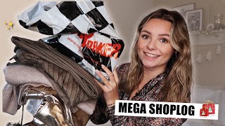 MEGA SHOPLOG 🎄 KERST SHOPPEN bij de kerstmarkt in MAASTRICHT  Floor Delver [upl. by Atekram]