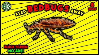 ANTI BEDBUGS REPELLENT SOUND ⛔🐞 KEEP BED BUGS AWAY  ULTRASONIC SOUND [upl. by Ahsiak]