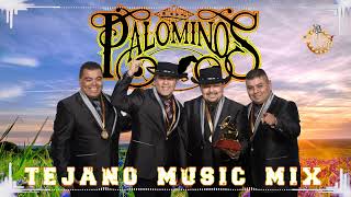 Los Palominos Sus Mejores Canciones  Tejano Music  Norteños Mix 2023 completo álbum [upl. by Hartley]