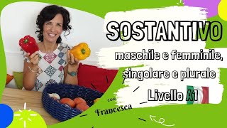 SOSTANTIVI  NOMI REGOLARI E POCHE ECCEZIONI IN ITALIANO maschile e femminile singolare e plurale [upl. by Aerdied]