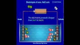 Electrolysis of Brine  Animated Mechanism  Dr Amal K Kumar [upl. by Des]