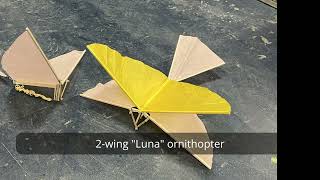 Stick amp Tissue Ornithopters Freebird and Luna [upl. by Cenac]