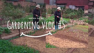 Fix the tomato trellis harvest the eggplants and water the greens  Jasmine Gardening Life Vlog 5 [upl. by Swaine]