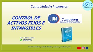 Control de los Activos Fijos e Intangibles [upl. by Anrol592]