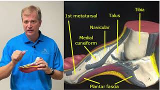 Plantar Fasciitis vs Neuropathy  Patient Story [upl. by Nirehs]