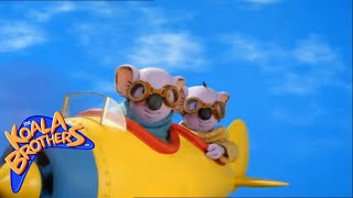 Ned the Pilot 👦✈️  Clip  TV show for kids  KoalaBrothersTV [upl. by Enixam]