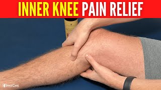 How to Relieve Inner Knee Pain in SECONDS [upl. by Ecyor]