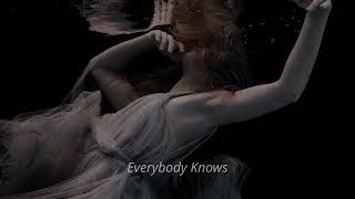 Everybody Knows Sigrid Slowed [upl. by Trah]