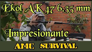 Ekol AK 47 Air Rifle 635 mm Pruebas Exteriores [upl. by Eeladnerb24]