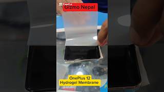 OnePlus 12 Hydrogel Membranegizmonepal oneplus12 hydrogel hydrogelmembrane shorts [upl. by Foster]