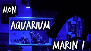 MON NOUVEL AQUARIUM DEAU DE MER   TOOPET [upl. by Spracklen857]