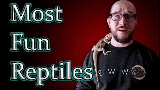 Top 5 Most FUN Interactive Reptiles [upl. by Notsob]