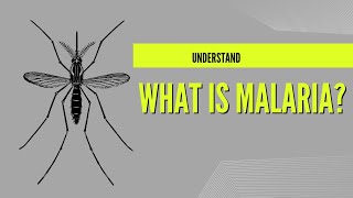 A Comprehensive Guide to Malaria Causes Symptoms and Treatment [upl. by Sibelle]