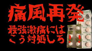 【痛風】最強激痛痛風攻略！！こう対処しろ！！ [upl. by Auburn]