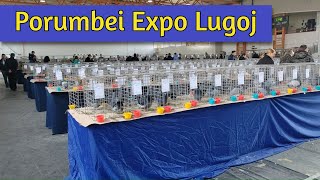 Expozitia de pasari si animale mici Lugoj  part 1 [upl. by Ahteral831]