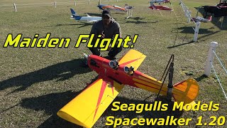 The Maiden First Flight Unveiling the Thrills of Seagulls Spacewalker 120rc edf rcairplane [upl. by Ilram]