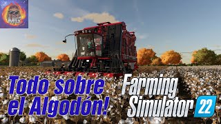 Sembrando y cosechando Algodón Tutorial de Farming Simulator 22 [upl. by Collier]