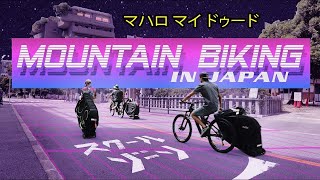 Mountain Biking in Japan [upl. by Agate]