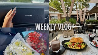 MOST REALISTIC WEEK IN THE LIFE vlog last day of vlogtober [upl. by Claudie182]