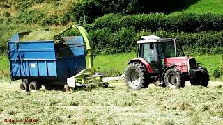 Silage with Claas Trailed Forage Harvester [upl. by Pavlish]