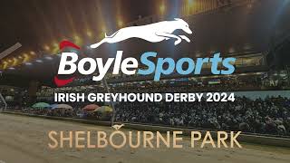 2024 BoyleSports Irish Greyhound Derby Sunday Sport Report [upl. by Yelruc]