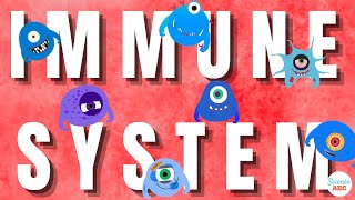 Immune System Innate and Adaptive Immunity Explained [upl. by Martin29]