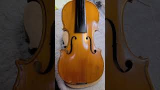 1Piece Top Violin shorts violin luthier musicalinstrument [upl. by Irtak201]