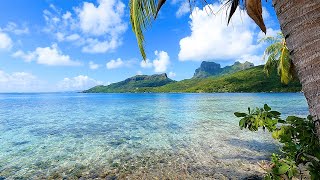 French Polynesia 3 Hours of Tropical Island Ambience For Relaxation [upl. by Stanwinn]