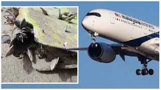 El Gran Misterio del Avión de Malaysia Airlines [upl. by Sergei67]