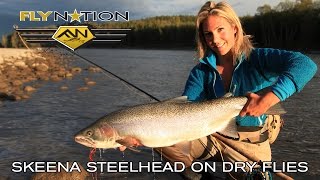 Fly Nation Skeena Steelhead on Dry Flies [upl. by Yerak]